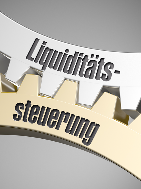 Professionelle Software zur Unternehmensplanung